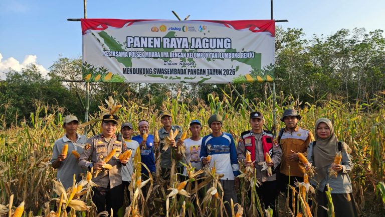 panen raya jagung hibrida polres tabalong [dok. web]