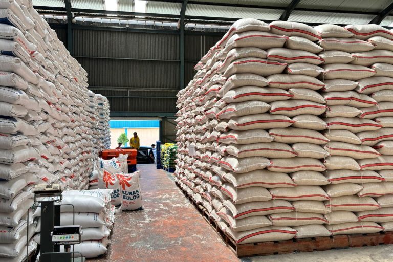 beras bulog [dok. web]