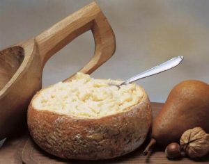 casu marzu [pinterest]