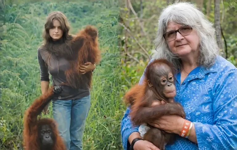 Prof. Biruté Mary Galdikas [dok. instagram]