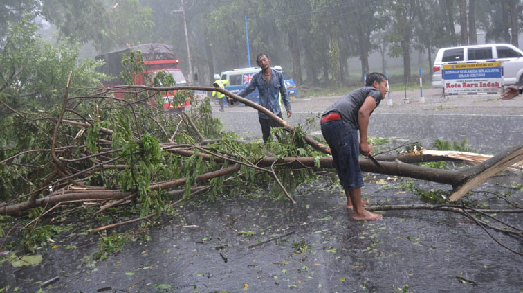 hujan badai angin ribut [dok. web]