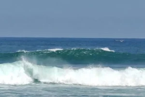 gelombang ombak [dok. antara]