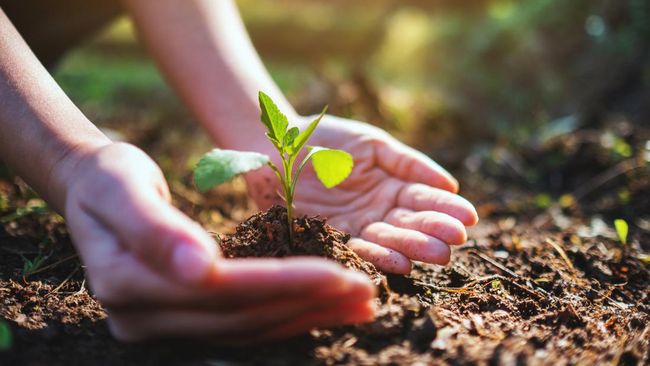 hari konservasi dunia [dok. Getty Images/iStockphoto/Farknot_Architect]