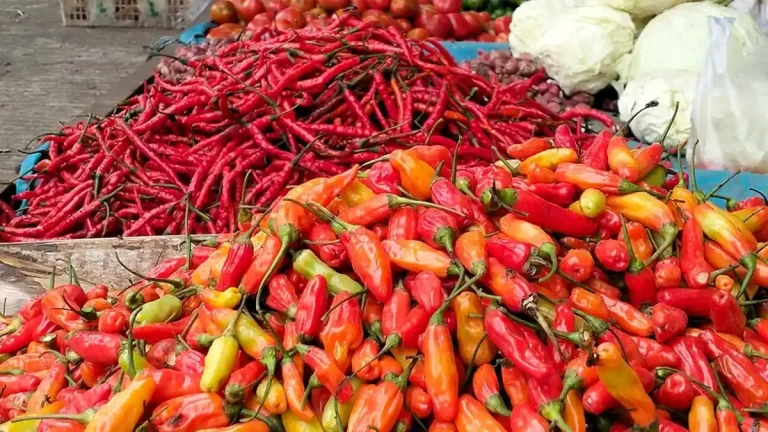 harga cabai rawit merah [dok. wartakota]