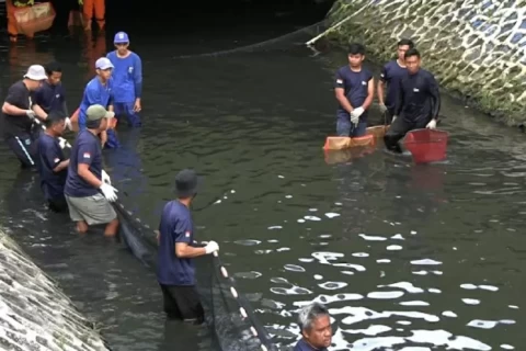 berburu ikan sapu sapu [dok. web]