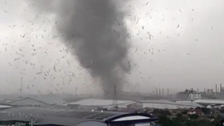 angin puting beliung [dok. detiknews]