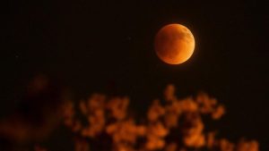 blood moon [dok. USA TODAY NETWORK via REUTERS]